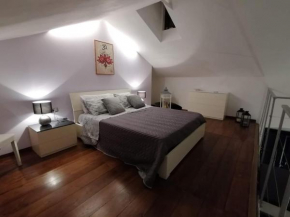 Home Holiday 304